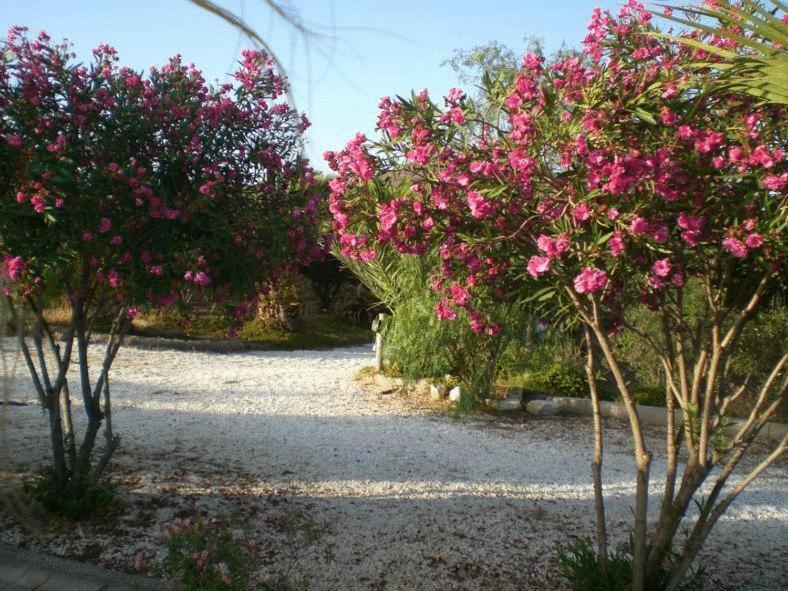 Casas Rurales Cortijo Torreblanca Parque Cabo De Gata El Pozo de los Frailes Exterior photo