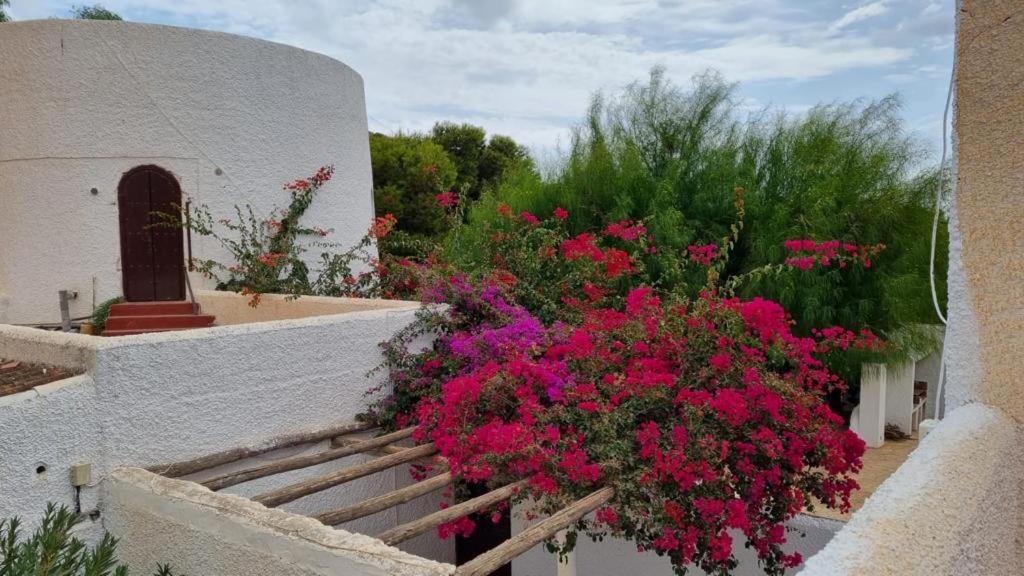 Casas Rurales Cortijo Torreblanca Parque Cabo De Gata El Pozo de los Frailes Exterior photo